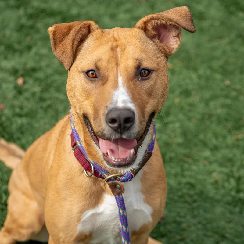 Winifred thumbnail 6