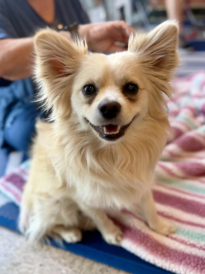 Carlos