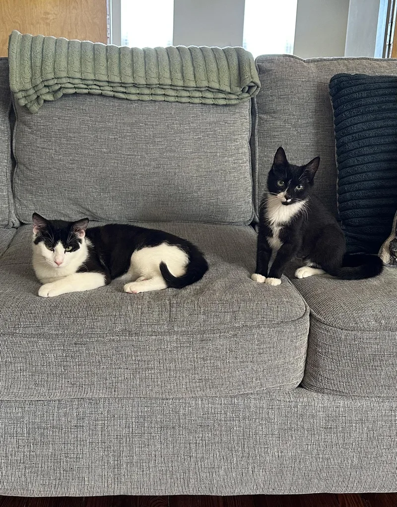 Blueberry And Rainy Paxon thumbnail 2