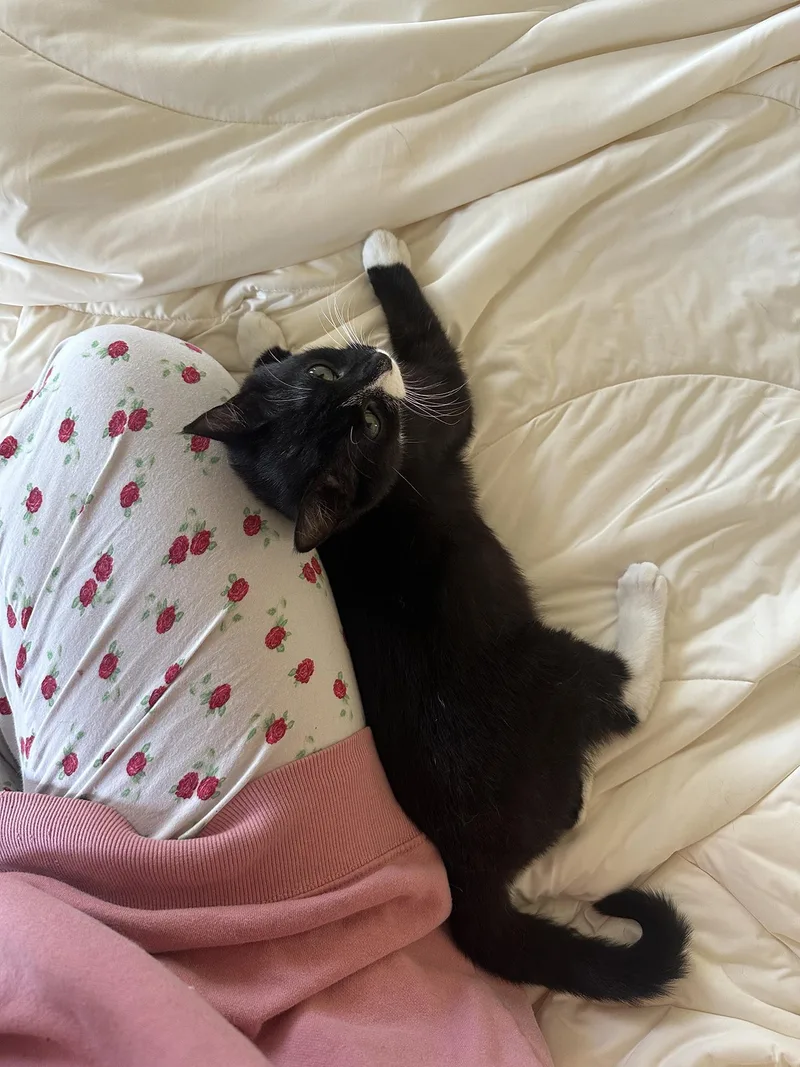 Blueberry And Rainy Paxon thumbnail 4