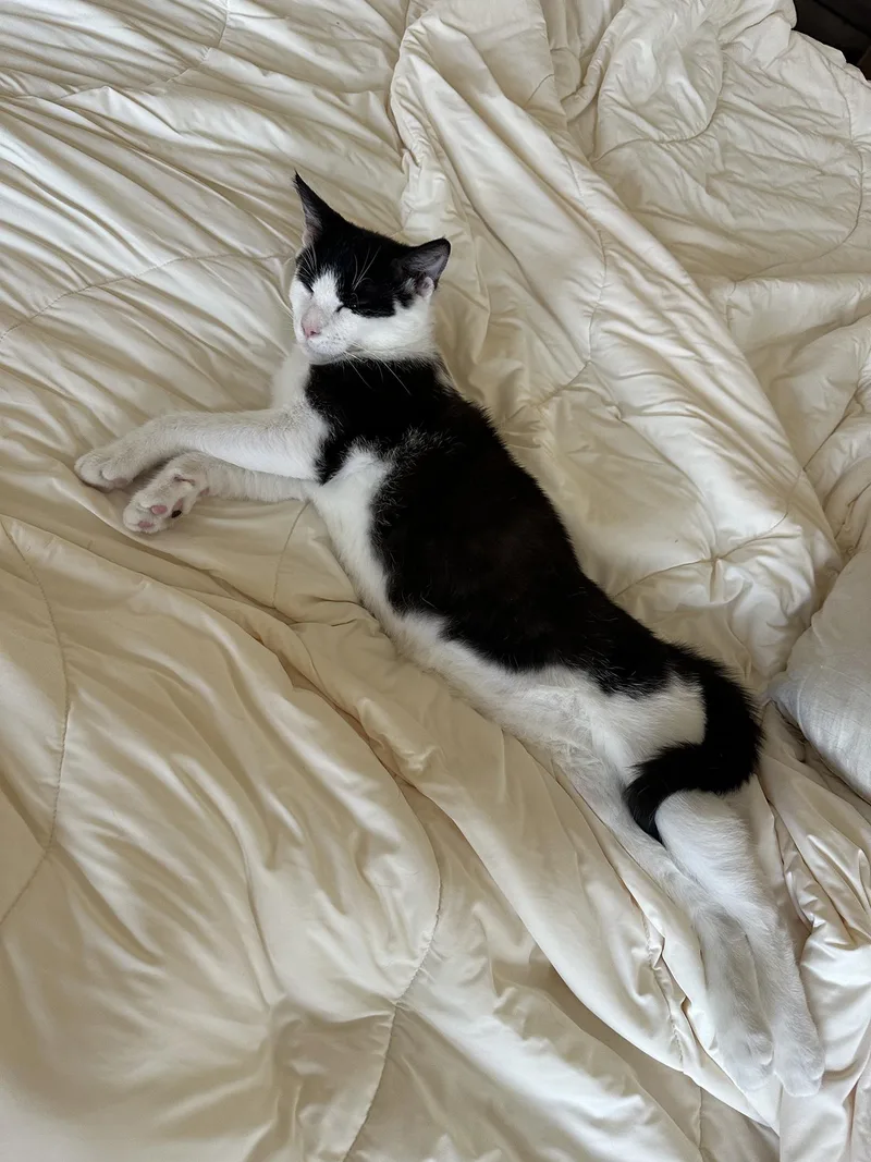 Blueberry And Rainy Paxon thumbnail 5