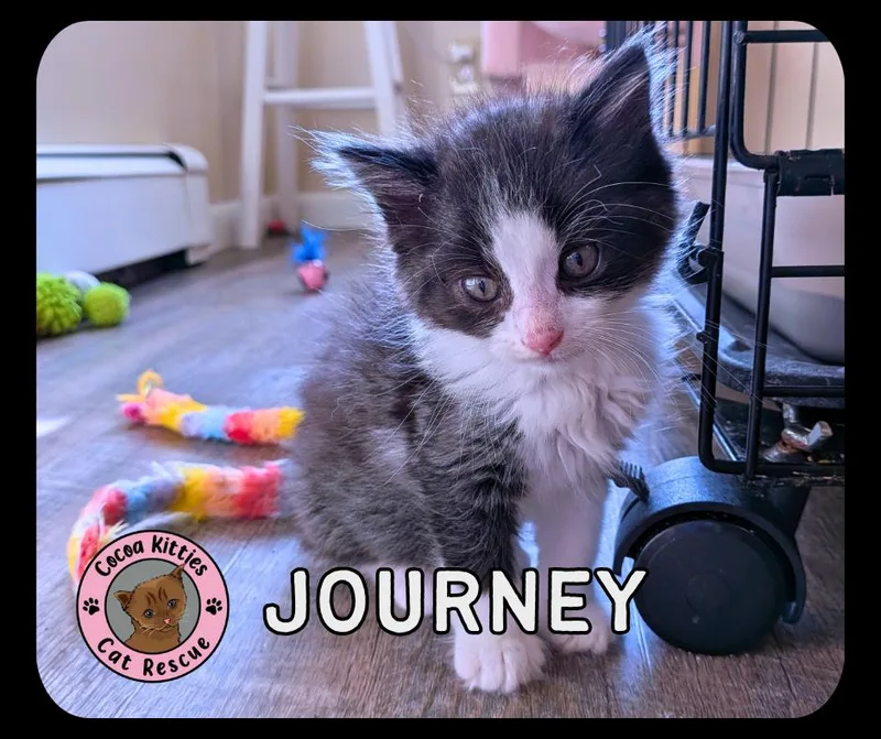 Journey thumbnail 3