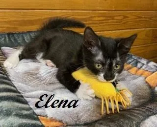 Elena thumbnail 5