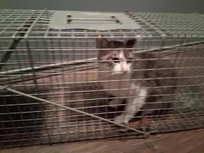 Mr. Humphrey