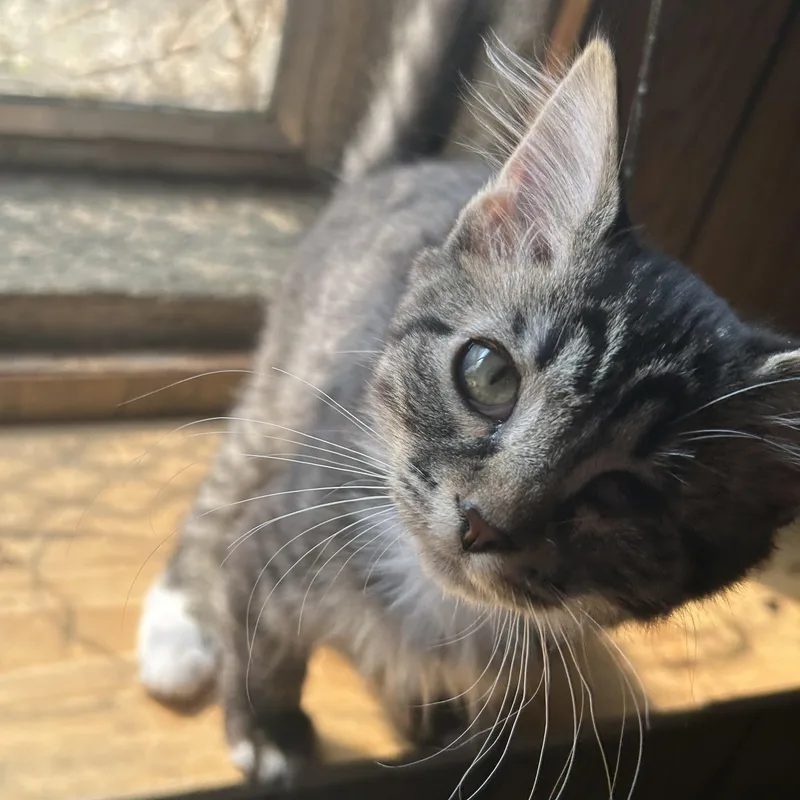 Pixel