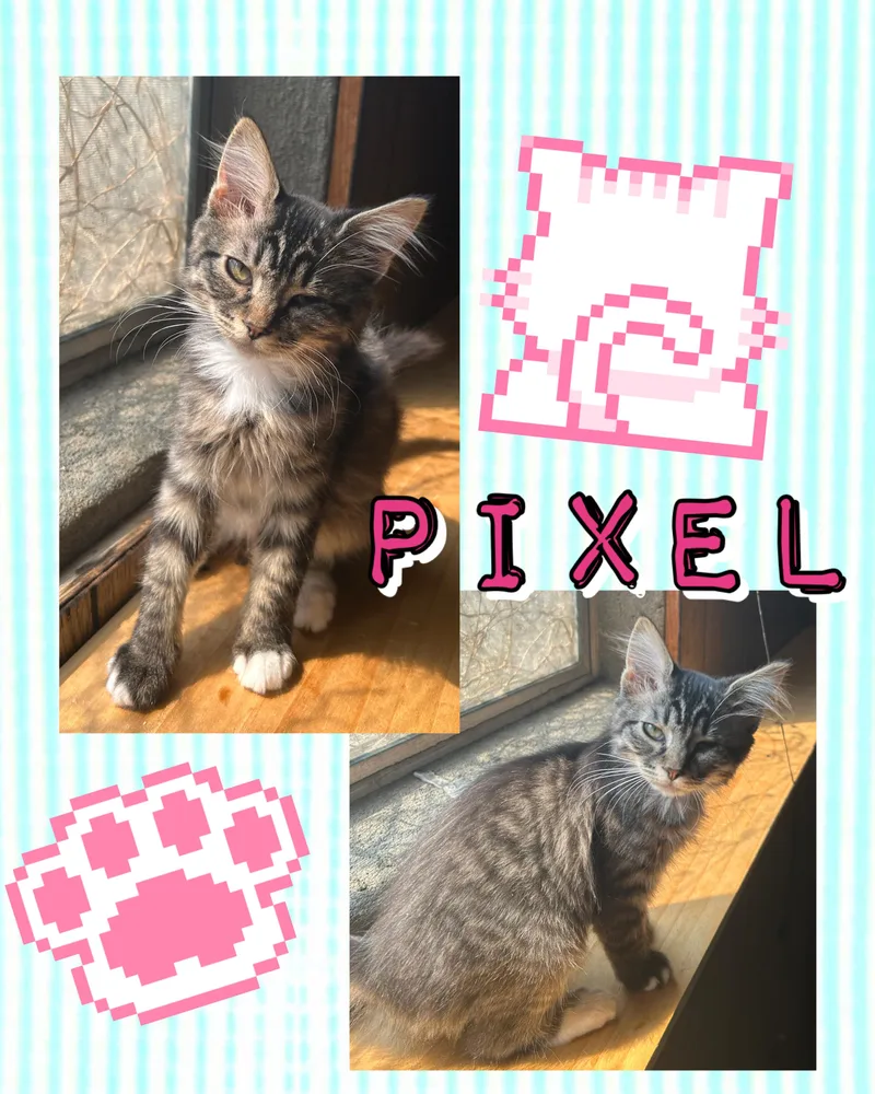 Pixel thumbnail 3
