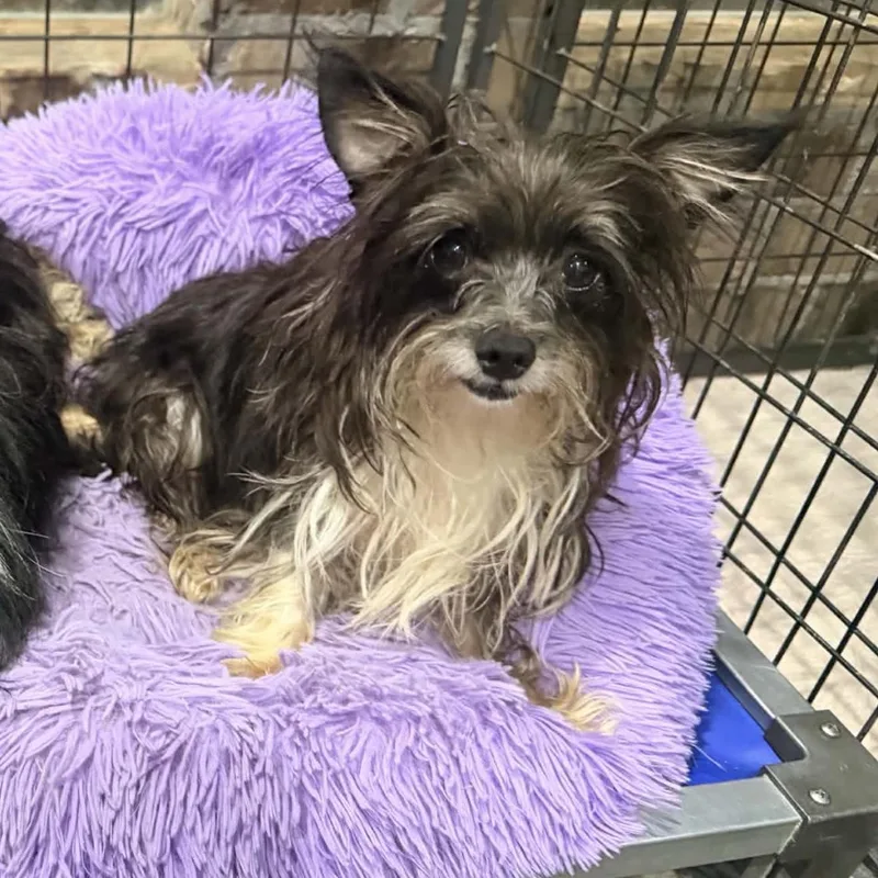 Sarah thumbnail 2