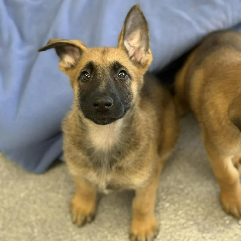 Ned Nederlander thumbnail 2