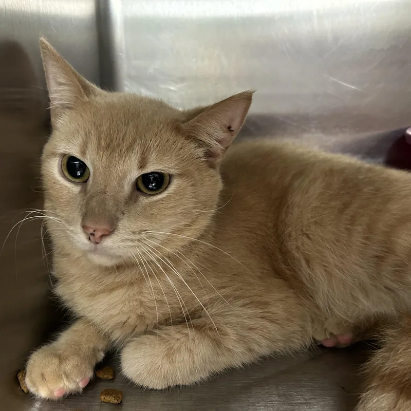 Jack Kelly thumbnail 3