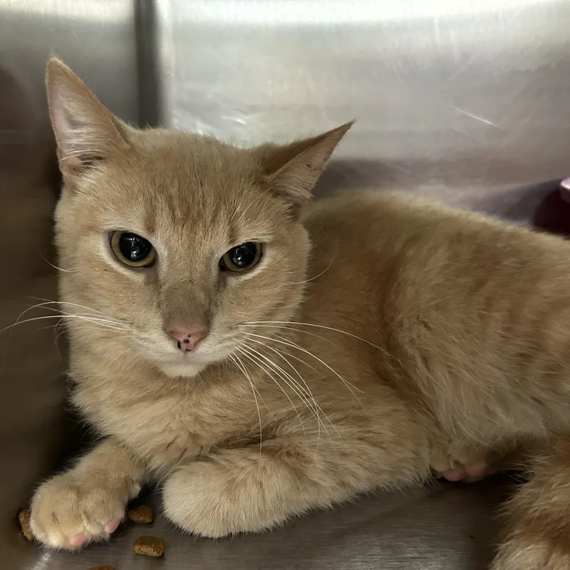 Jack Kelly thumbnail 4