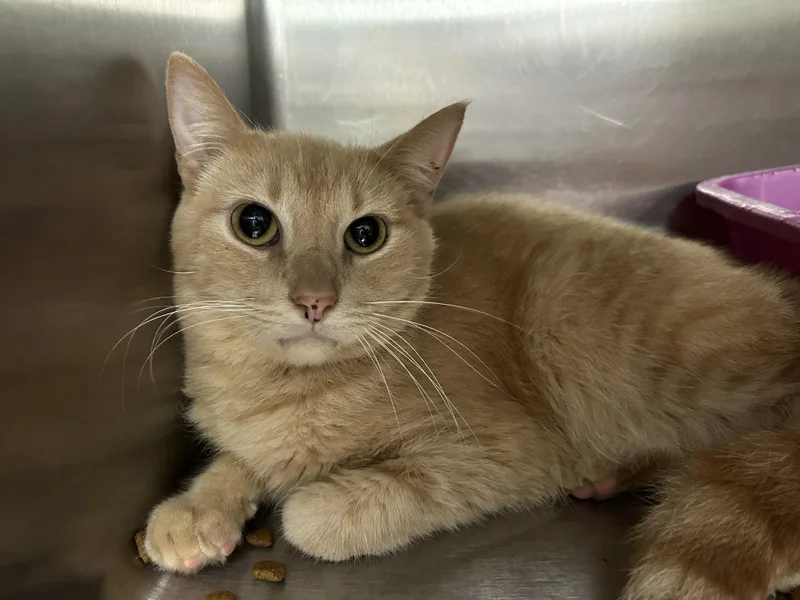 Jack Kelly thumbnail 5