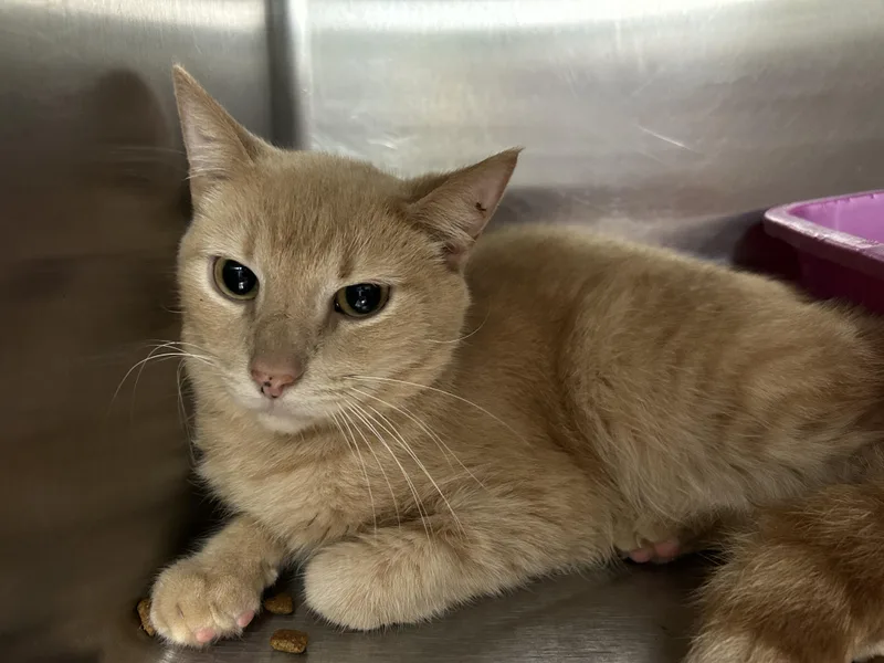 Jack Kelly thumbnail 6