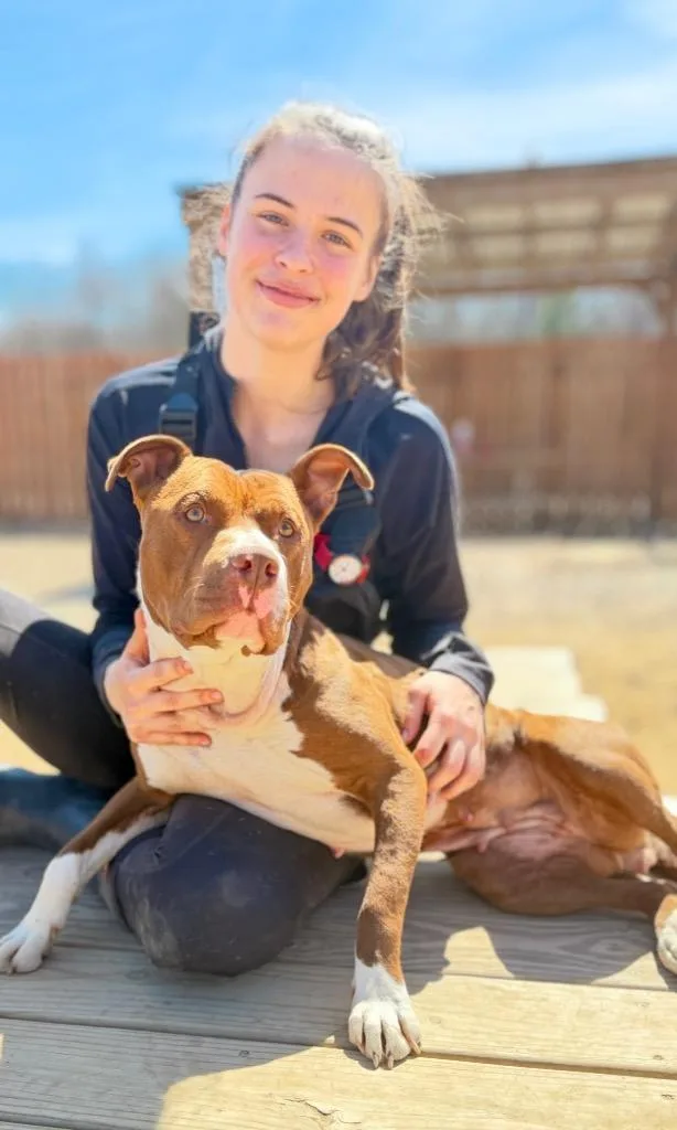 Jelly Bean thumbnail 3