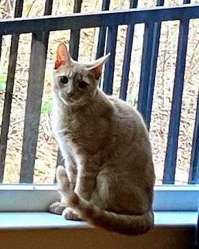 Sonneykc thumbnail 2