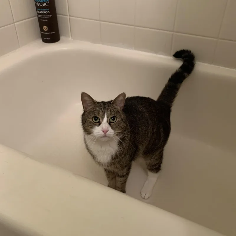 Cleo And Lilo thumbnail 3