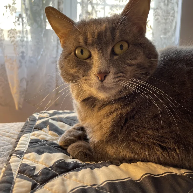 Cleo And Lilo thumbnail 4