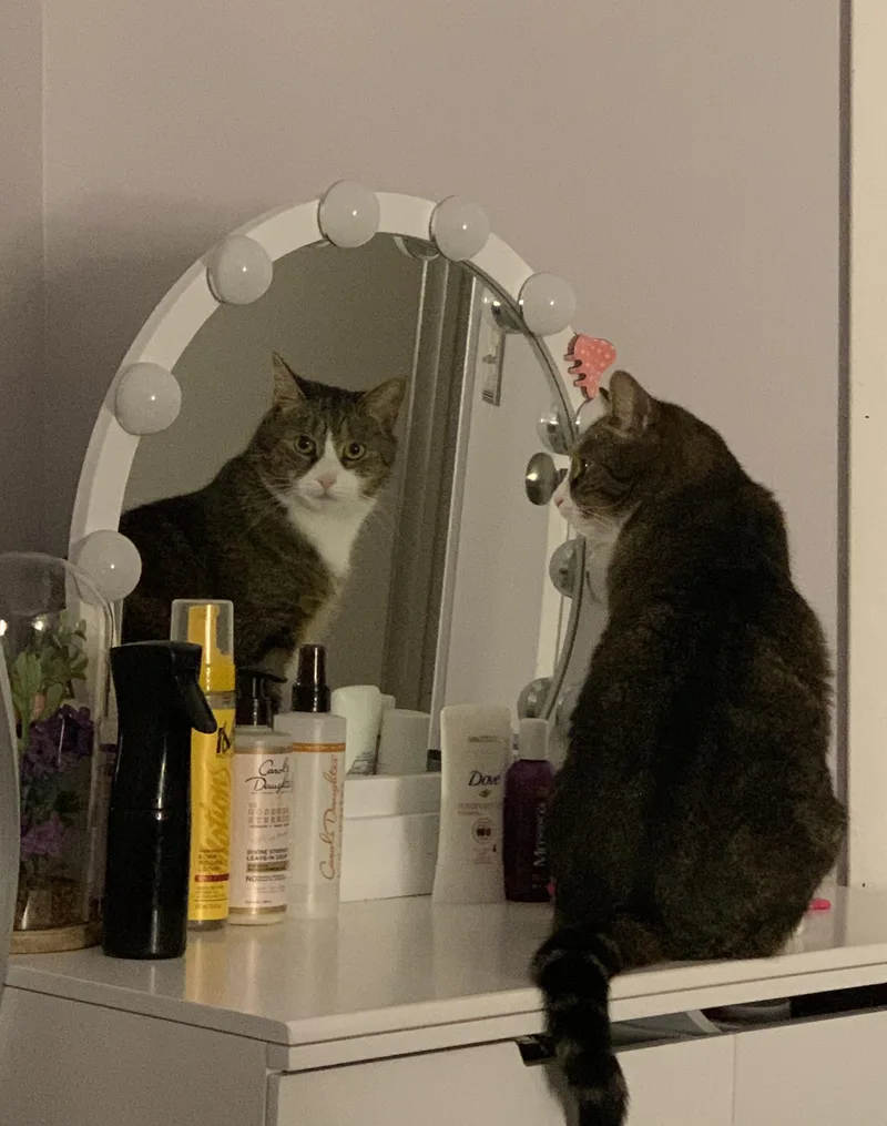 Cleo And Lilo thumbnail 5