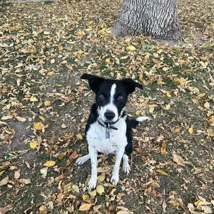 Loki thumbnail 2