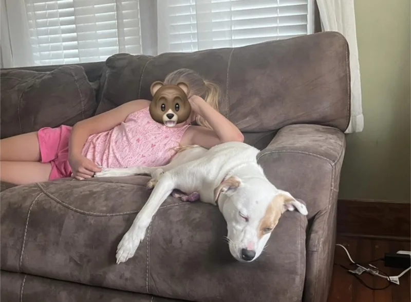 Daisy thumbnail 5