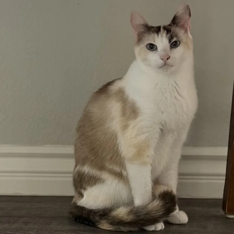 Duarte Beauty thumbnail 2