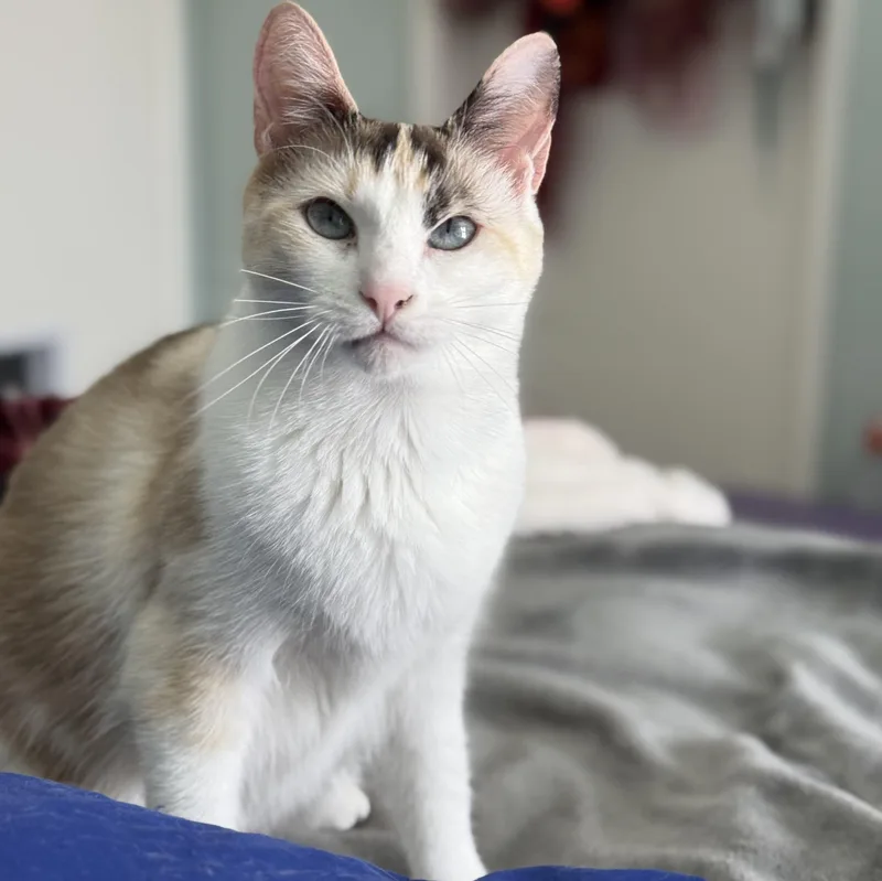 Duarte Beauty thumbnail 3