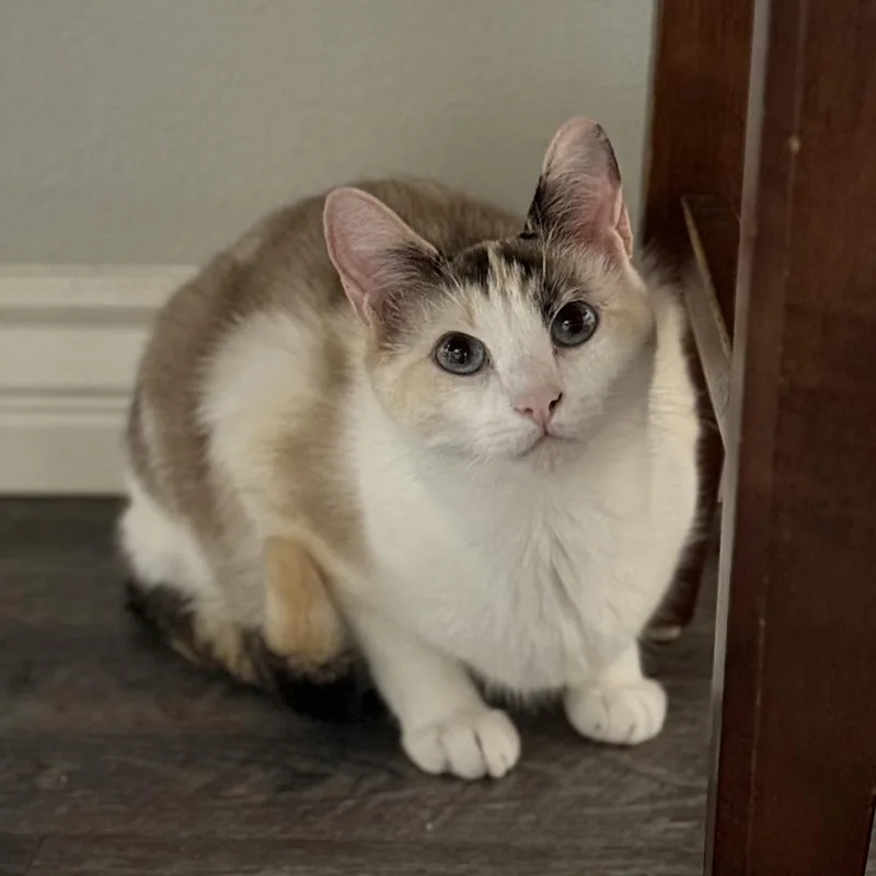 Duarte Beauty thumbnail 5