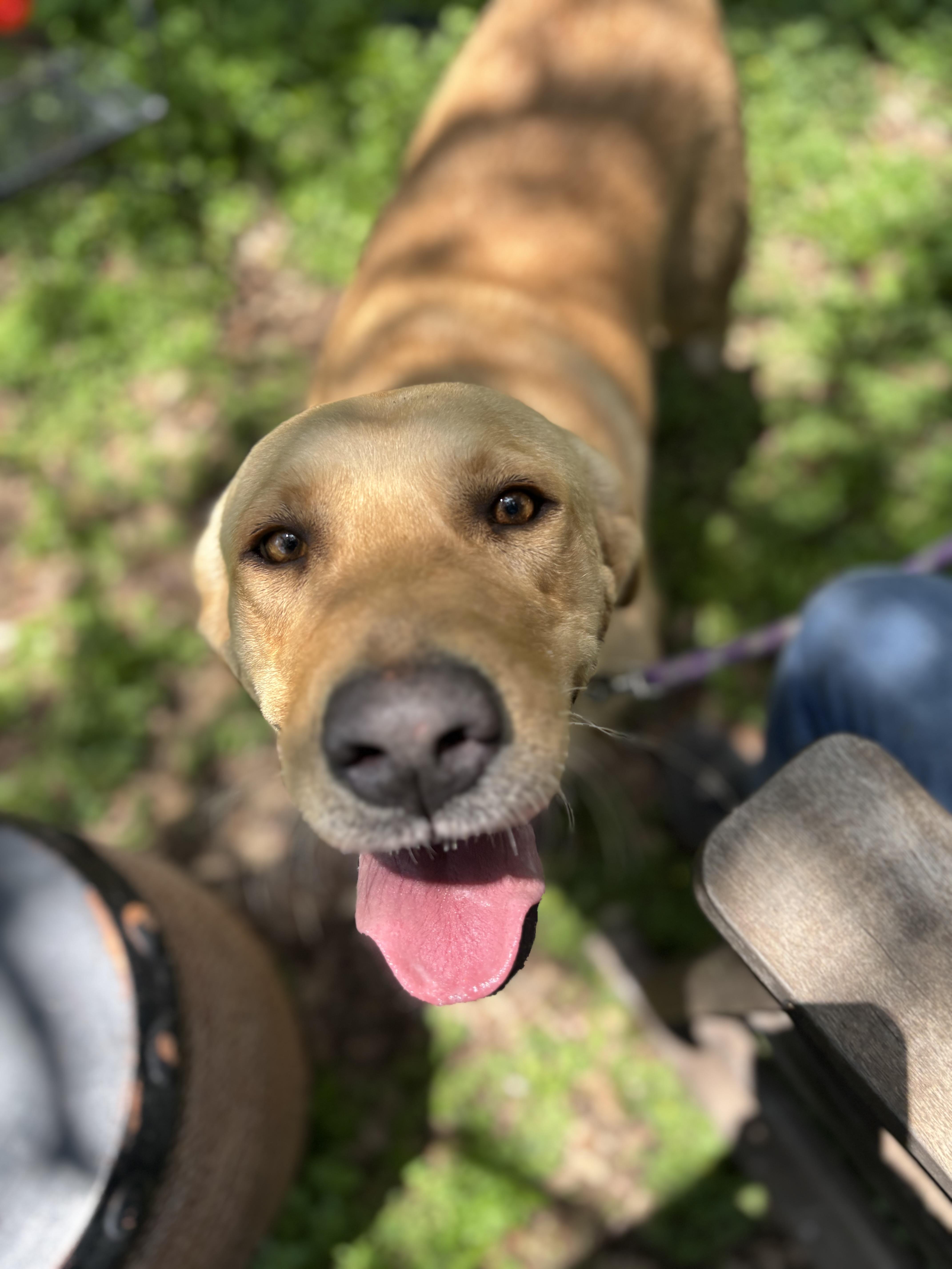 Penny thumbnail 4