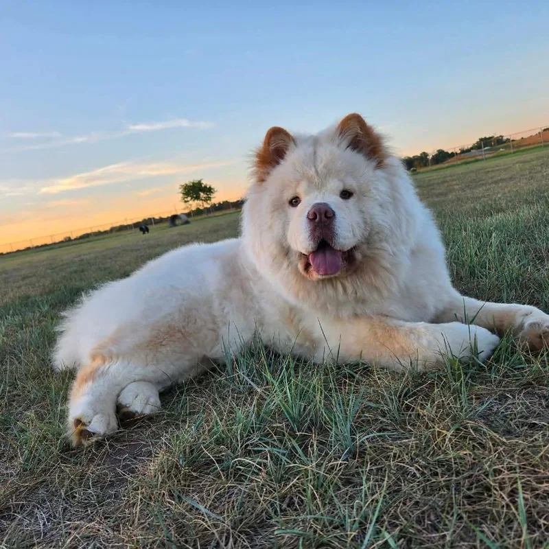 Winnie