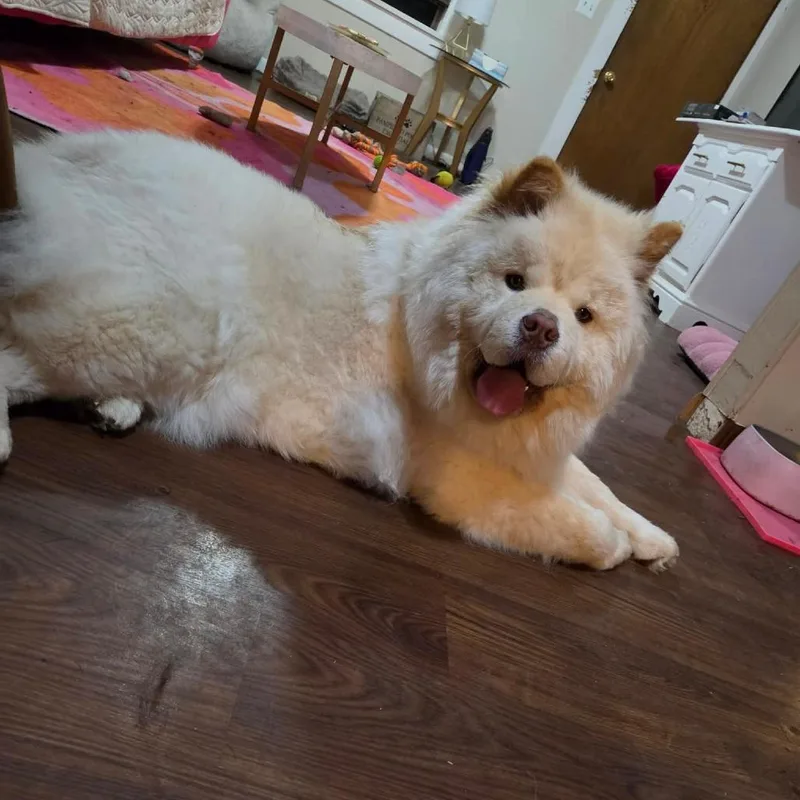 Winnie thumbnail 2