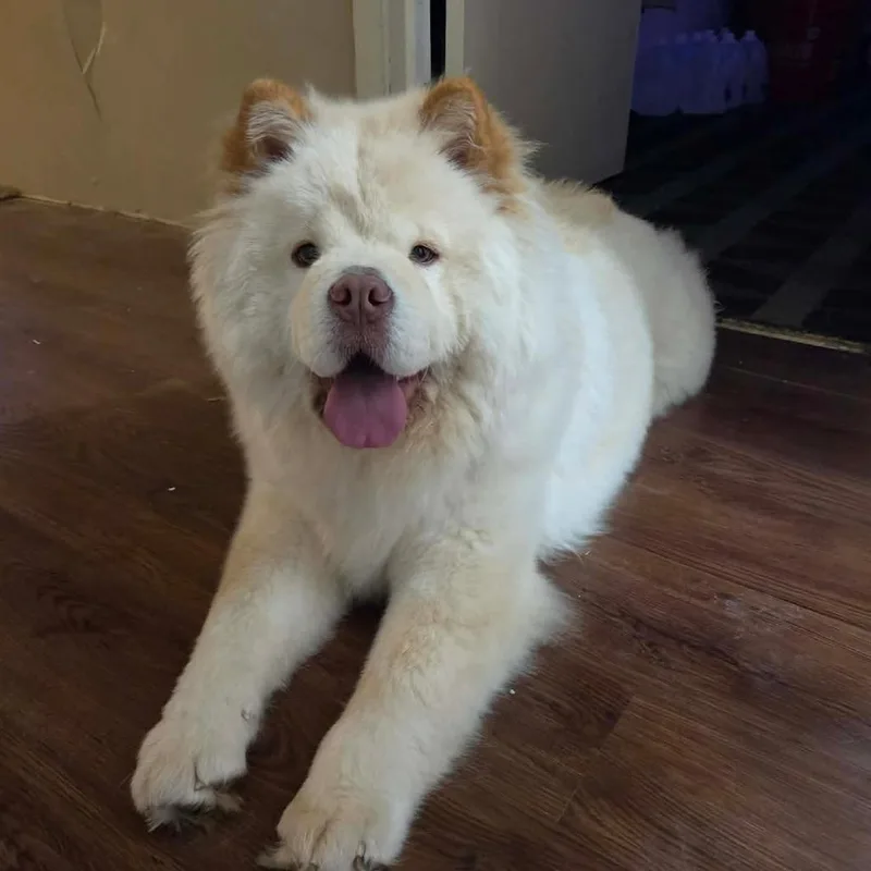 Winnie thumbnail 3