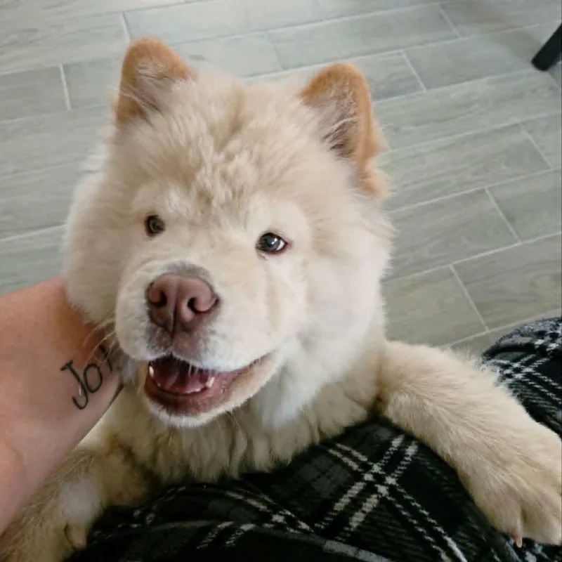 Winnie thumbnail 4