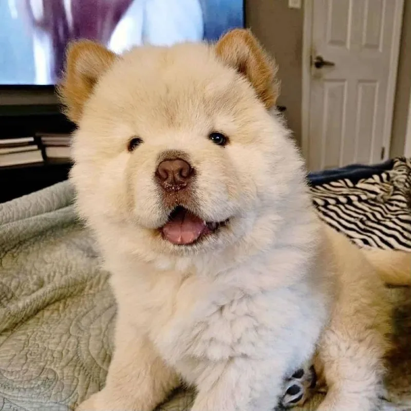 Winnie thumbnail 5
