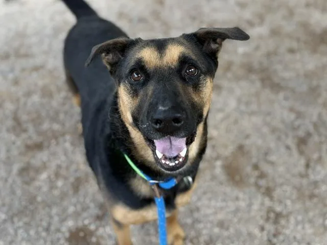 Jax