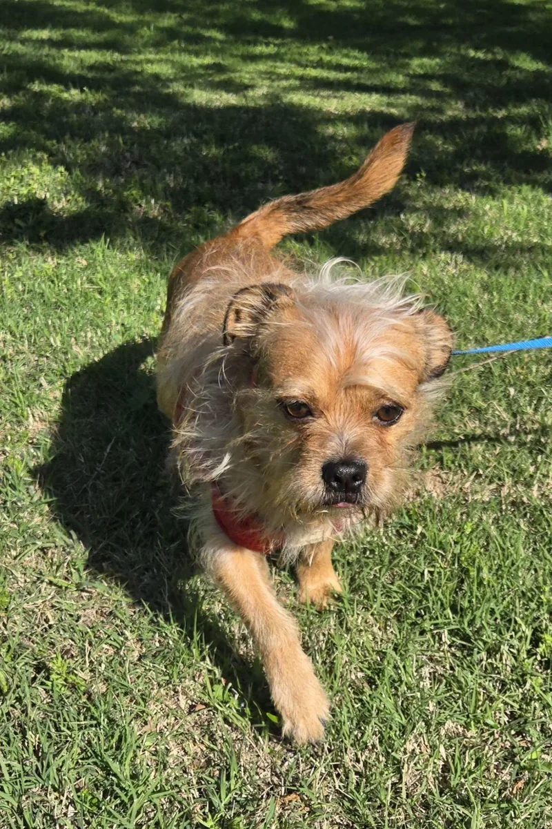 Rockee   $ thumbnail 5