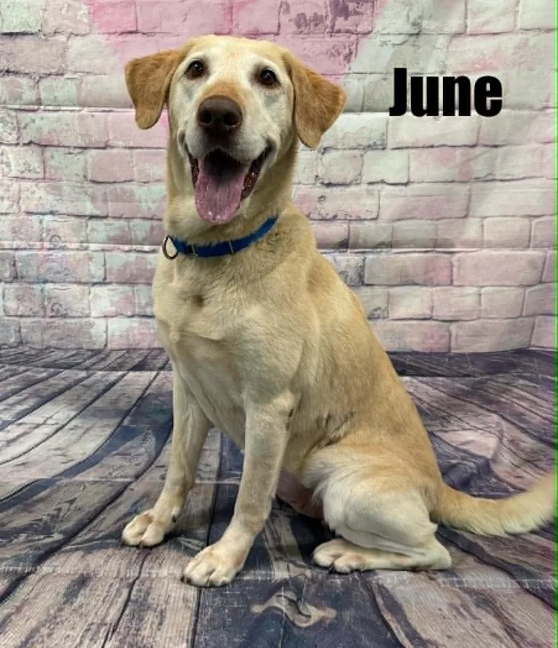 June