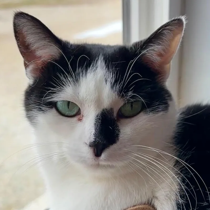 Bubbles Mccollum thumbnail 2