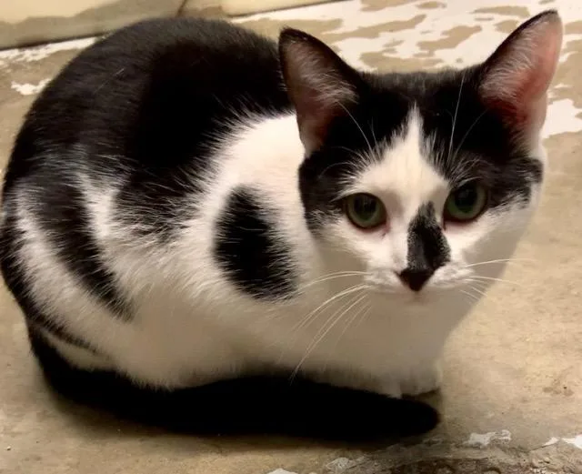 Bubbles Mccollum thumbnail 3