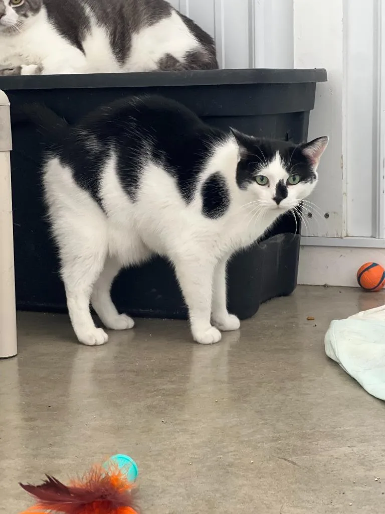 Bubbles Mccollum thumbnail 4