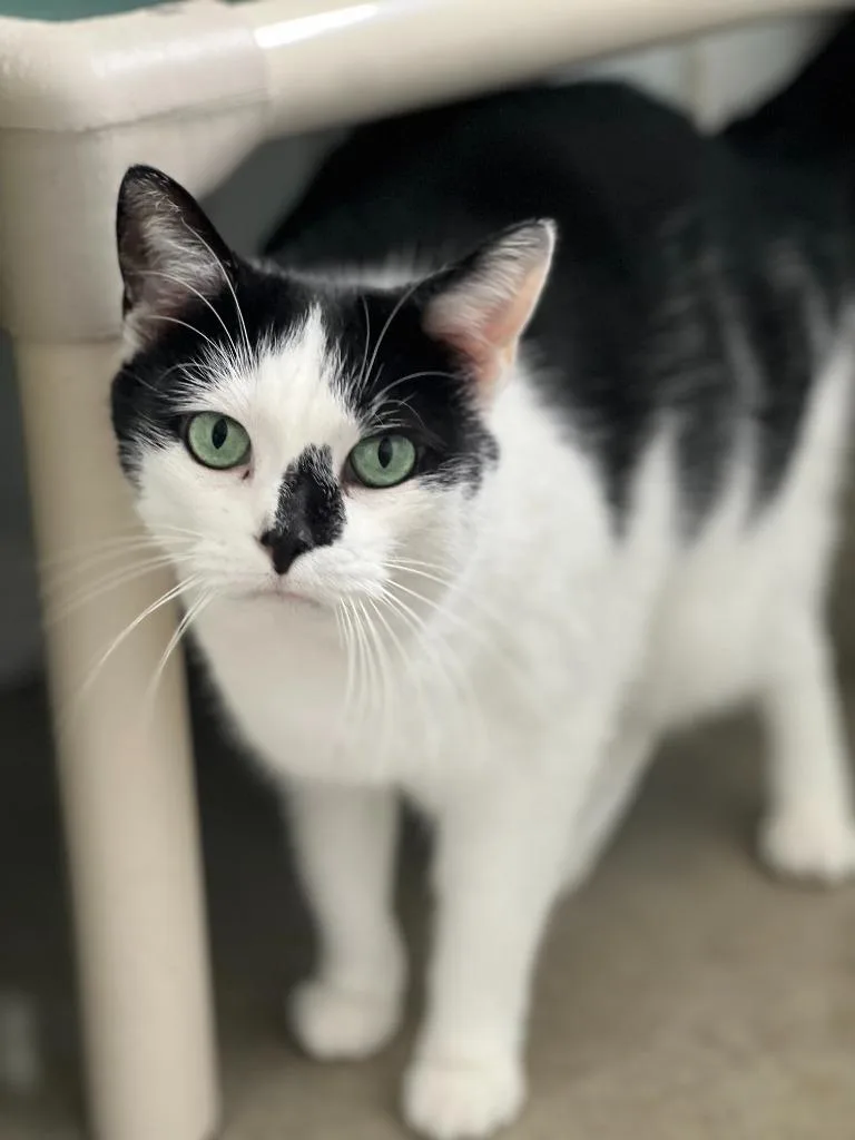 Bubbles Mccollum thumbnail 5