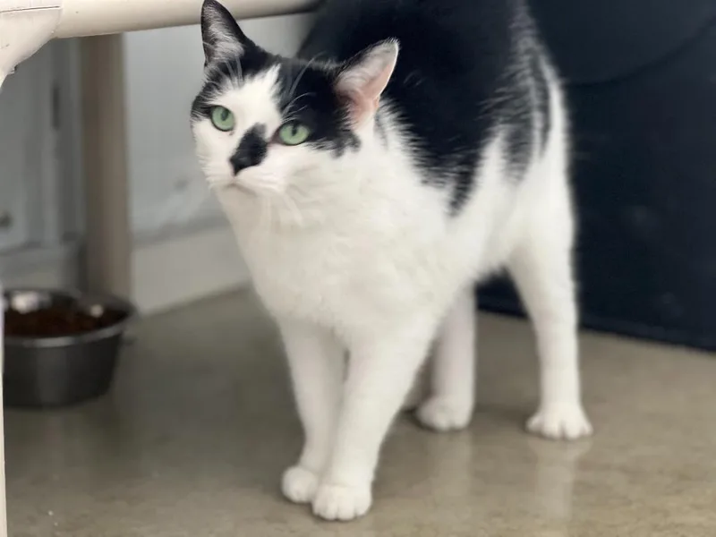 Bubbles Mccollum thumbnail 6