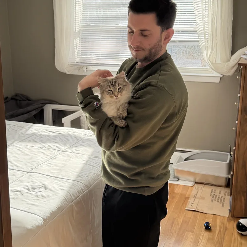 Savannah thumbnail 4