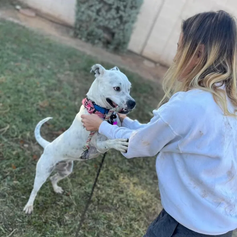 Spotta A thumbnail 2