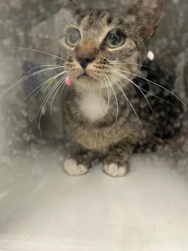 Jess thumbnail 3