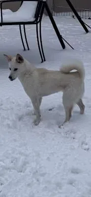 Polar thumbnail 2