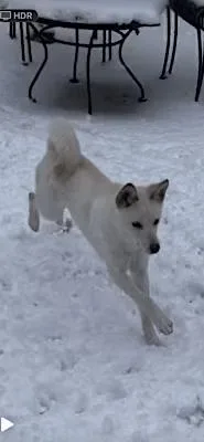 Polar thumbnail 3