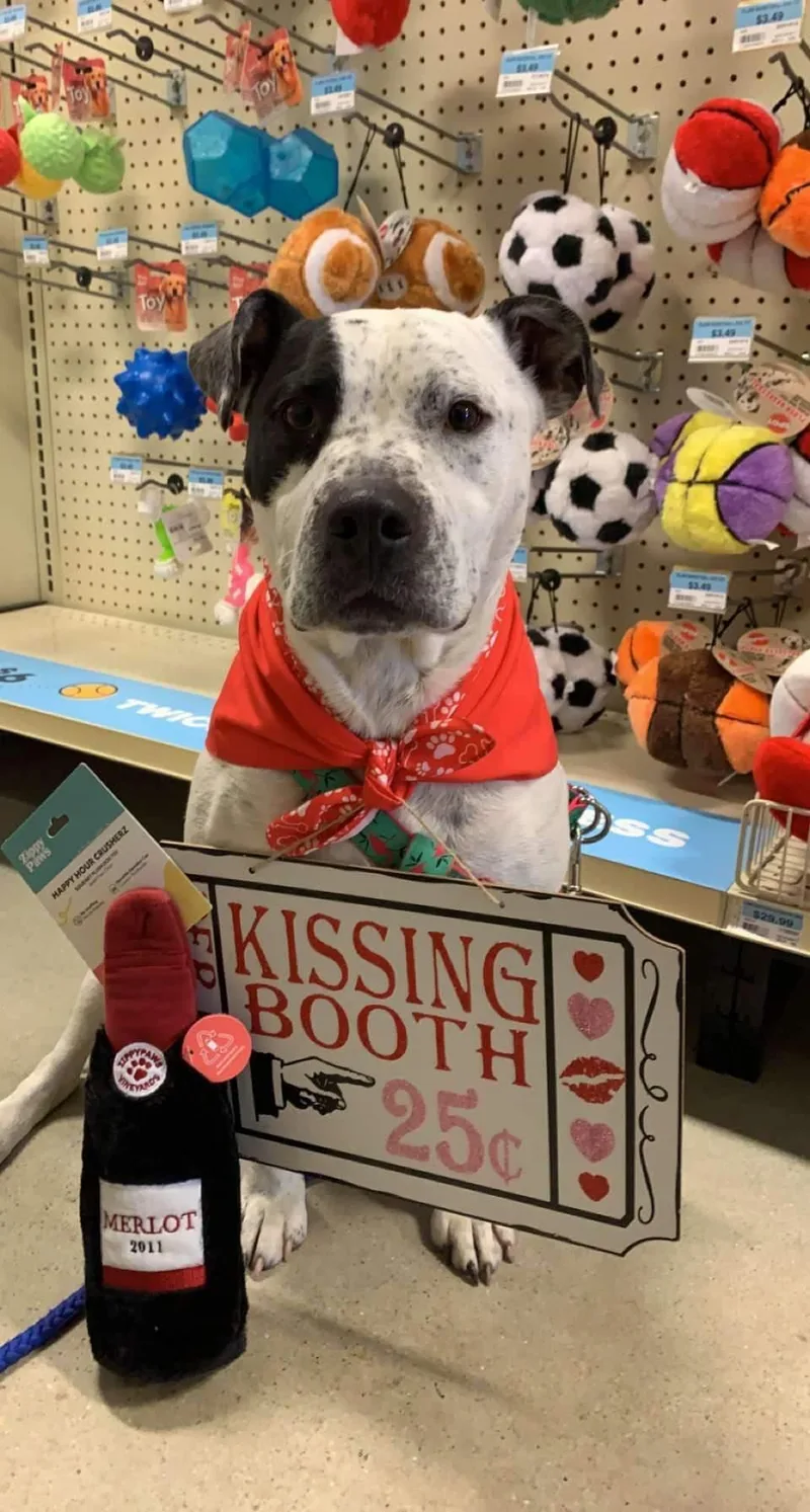 Trintalina thumbnail 3