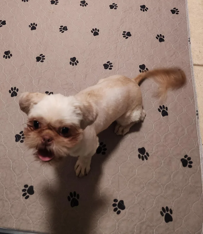 Delilah thumbnail 2
