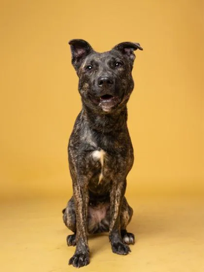 Gwendolyn thumbnail 3