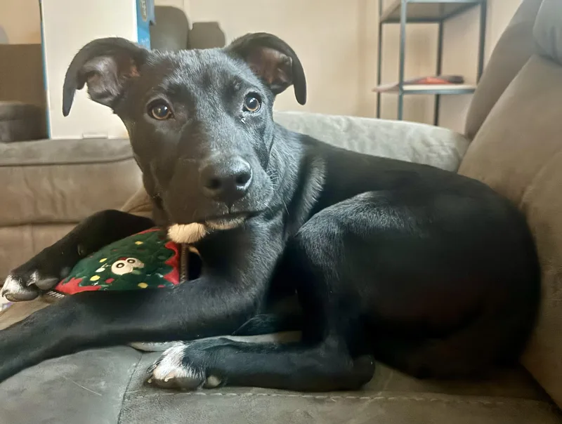 Happy Ny! thumbnail 2