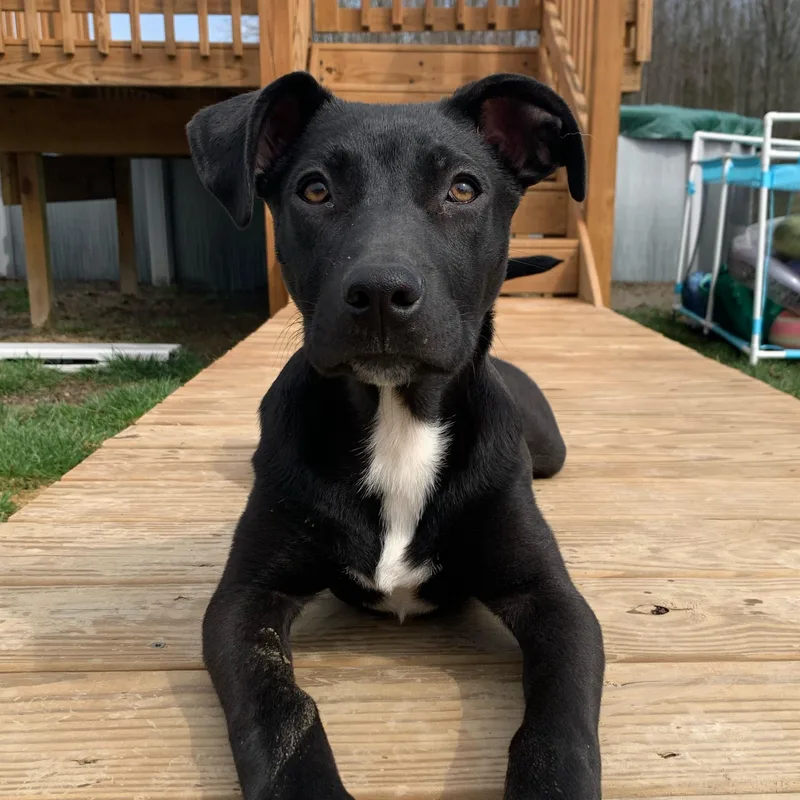 Happy Ny! thumbnail 3